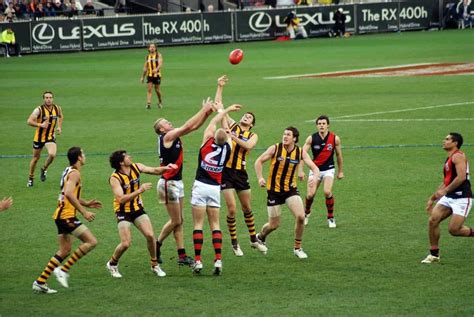 afl betting forum,Sport 